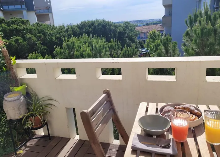 Apartment T2 Near The Rugby\'S Stadium